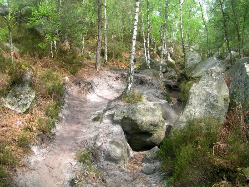 Hiking track at Fontainebleau